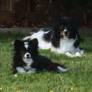 Meet your Posher, Leah